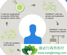 Ԥ��CAR-T�Ի��ߵ���Ч��CAR-T���ٵ�����