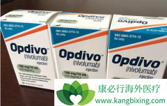 PD-1����Opdivo�ڻ����е��о����