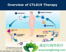 CTL019��CAR-Tϸ���Ʒ�����ߴ����Ե�