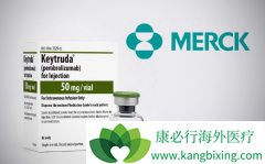 PD-1���Ƽ������Űе����Ƽ������Ͽ���Ҳ���ڻ��Ƚ�����