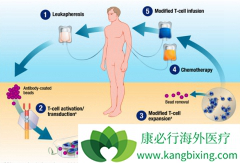 CAR-Tϸ��ÿһ���ṹ����ϸ��������ͻ��