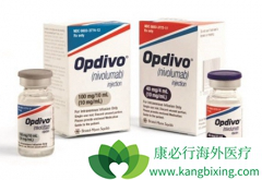 PD-1���ϻ��ƻ���Yervoy�û��������ڸ���