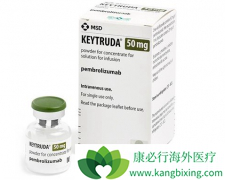 PD-1�������Ƶĳ��������ı�����һ�����Ʒ���