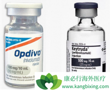 PD-1���Ƽ����ڷΰ���ǰ���Լ�������ϵͳ