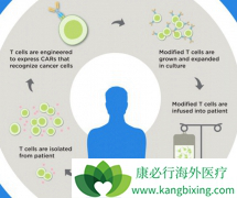 ŵ��KYMRIAH��Bϸ���ͼ����ܰ��԰�Ѫ���׸�ϸ���Ʒ�