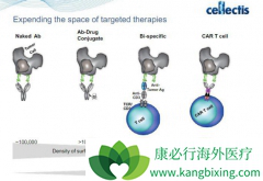 Cellectis��ͨ����CAR-T�Ʒ�������FDA����