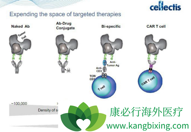 CAR-T