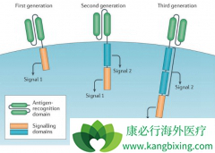 �Ͼ������ύ���й��׸�CAR-T�Ʒ��ٴ�����