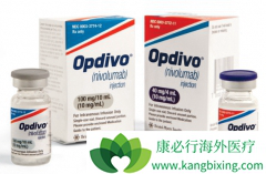 PD-1����Opdivo����Ϊÿ����ע��һ��