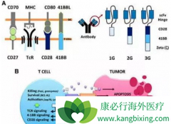 ����ע��CAR-Tϸ���ܹ�׷�ٵ����Բ������