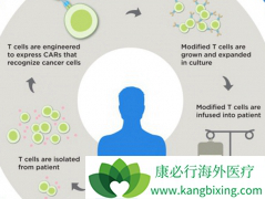 CAR-Tϸ�����ܸ������еİ�ϸ��