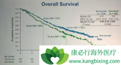 �й��ΰ�������ŷ������һ���ɴ�PD-1�л���