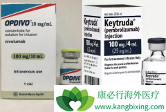 PD-1����Opdivo�����ͷ���۰���������ʱ��