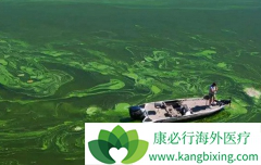 �й���֢���ͼ�иΰ����ֵ����ؽ���