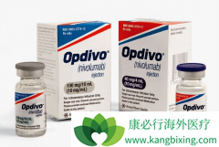 PD-1���Ƽ�Opdivo�����й��ΰ����������������