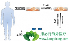 �����µ�CAR-Tϸ���Ʒ����۵���ŵ��