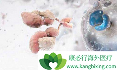 Juno��������CAR-T��Ʒ���о����ĵ�һ�ݶ�