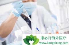 Kite��ҩ���ҹ�˾��CAR-Tϸ�������������