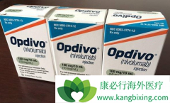 PD-1�����������������ڰ�֢�ܷ���Ч��?