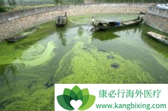 ˮ��Ⱦ�ǵ����й���֢�������������Ҫԭ��