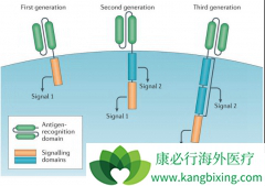 ŵ��CAR-Tϸ���Ʒ�KYMRIAH���з�����