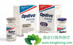 �׸���Ի��˵�PD-1�����о����ݹ���