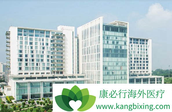 ҽ������