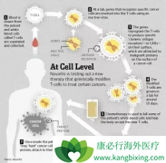 CAR-Tϸ�����Ƽ����ǰ�֢���Ƶ�һ����Ҫ�ֶ�