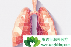 ��ȵ�ҩPD-1�������ϻ������Ʒΰ�����Ч��