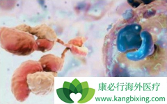 �ٴ�����PD-1�������ϻ��ƿɽ��ͷΰ�������