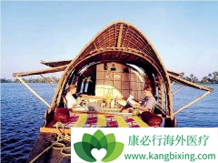 ��ӡ��ҽ������Ѱ�Һ���ҽ���н�ķ���һֱ����