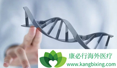 ��֢����ֶ���ѪҺ����׼ȷ����ʵ����