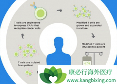 CAR-Tϸ���Ʒ��ڶ෢�Թ�����������ո¶ͷ��