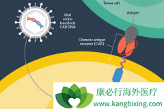 CAR-T�����Ʒ����ܻ�����ϸ�����ӷ籩