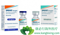 PD-1���Ƽ�Opdivo������������Ч��������������