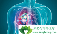 ���Ʒΰ����·��������Ʒ���������������Ļ�����