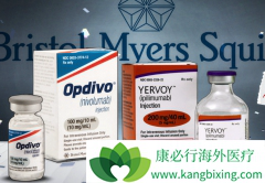 PD-1���Ƽ�Opdivo��ʹ���ڷ�Сϸ���ΰ������ʷ�5��