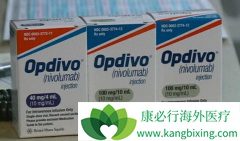 OpdivoΪһ�����ƹ������ڷ�Сϸ���ΰ������ṩ����ѡ��