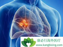 һ����ɼ�����Ʒΰ��нϳ�PFS�Ļ��߶����ѴӶ��������л���