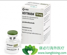 PD-1���Ƽ�Keytruda���Ʒ�Сϸ���ΰ�����Ч