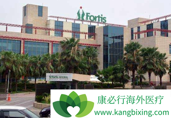 ҽ������