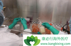 CAR-T֮��������ѪҺ���ϴ������ֵ������кõİе�