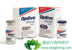 PD-1���Ƽ���IDO1���Ƽ����������������ע