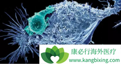 ��ѧ���Ʊ�����Чɱ�������ĳ���CAR-Tϸ��