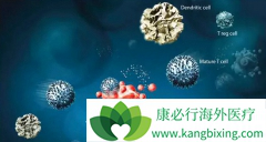 7x19CAR-Tϸ��������޷�����ʵ����������