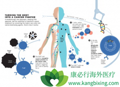 ŵ���׿�CAR-T�Ʒ�����DLBCL�����ʸߴ�37%