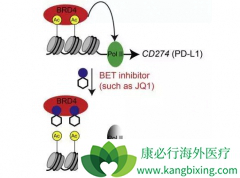 ��֢�ĸ���������ʹ��PD-1����ЧҲ�ܺ�