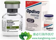 PD-1�������ϻ��ƶԷΰ��Ŀ����ʸߴ�100%