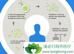 ���͵�CAR-Tϸ�������Ʒ������������Ƹ�����