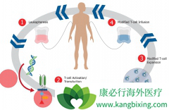 ����GD2��CAR-Tϸ���ܹ���С��ģ����սʤһ�������Ķ�ͯ������